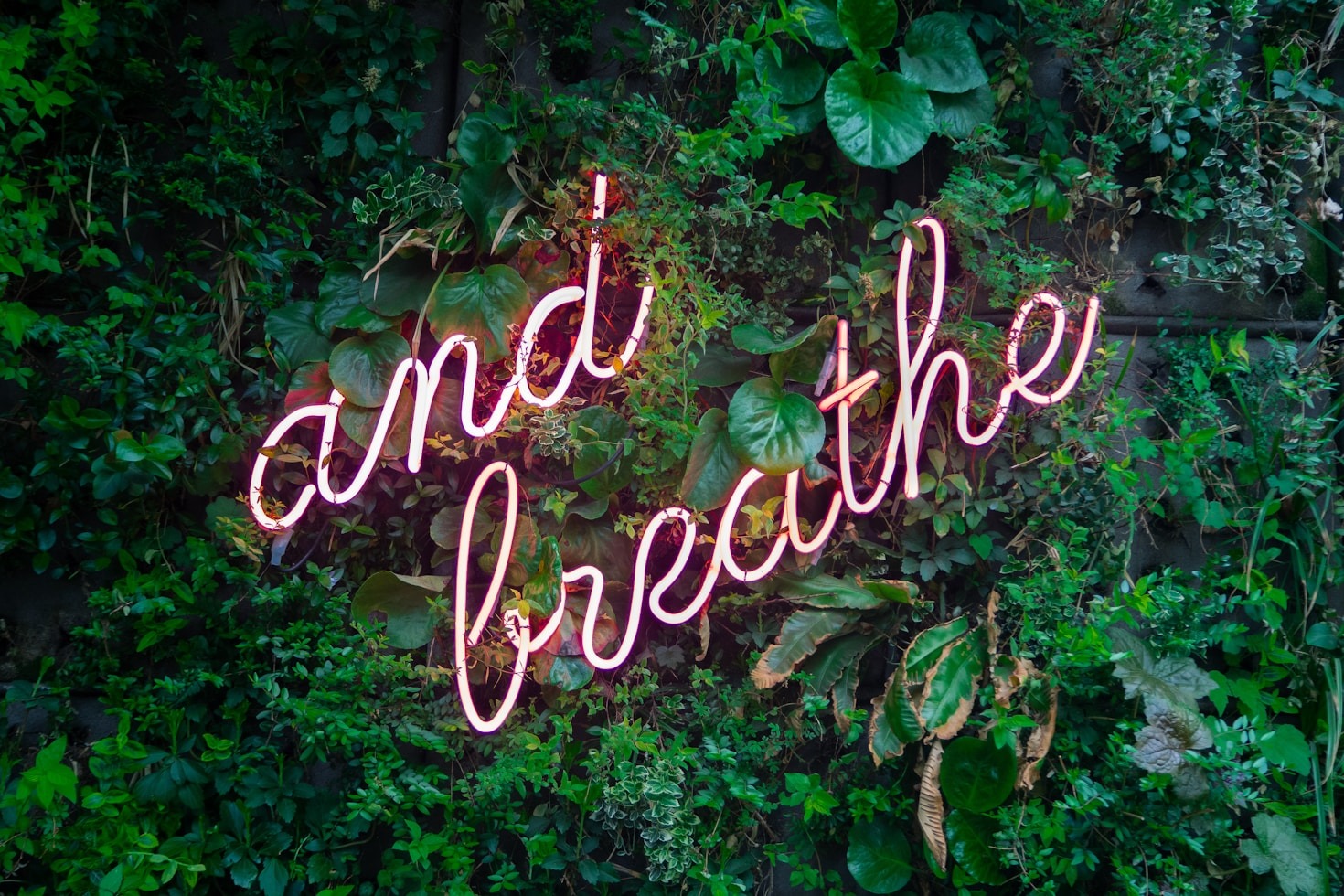 The Secret To Sustainable Growth For Practitioners
